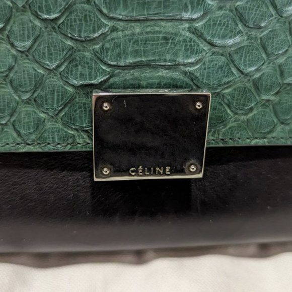 Celine Medium Python Trapeze Bag - Picture 6 of 16